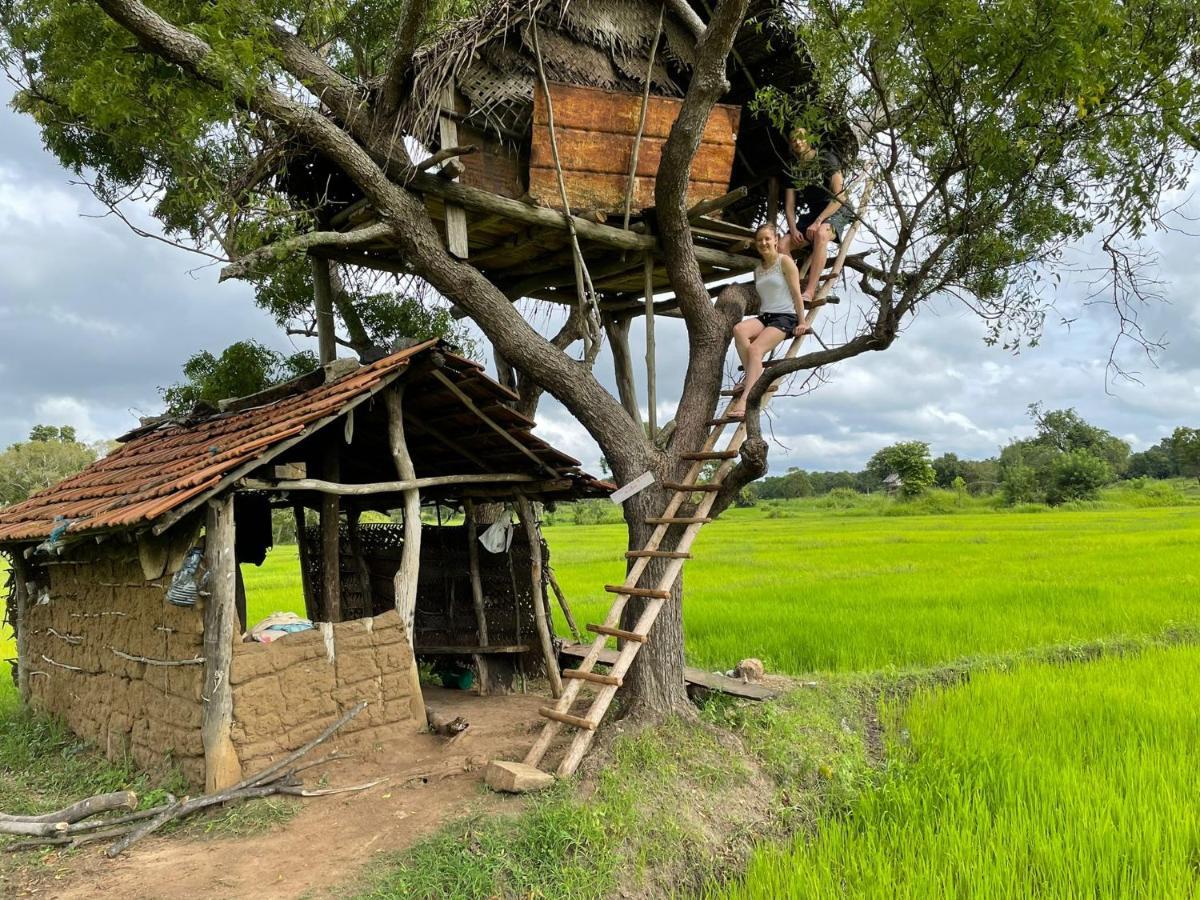 Thilina Homestay Sigiriya Exteriér fotografie