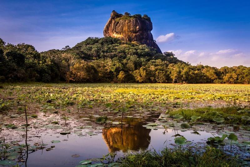 Thilina Homestay Sigiriya Exteriér fotografie