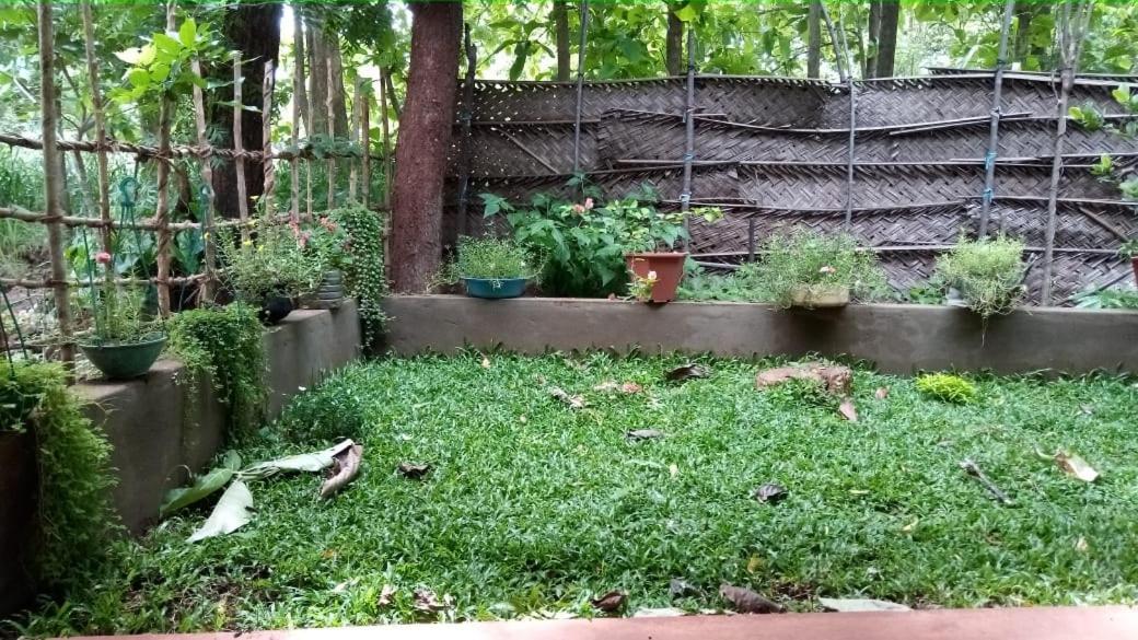 Thilina Homestay Sigiriya Exteriér fotografie